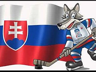 Gooly- náš hokejový maskot